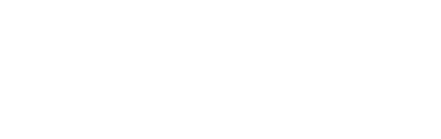 Level Up Coaching